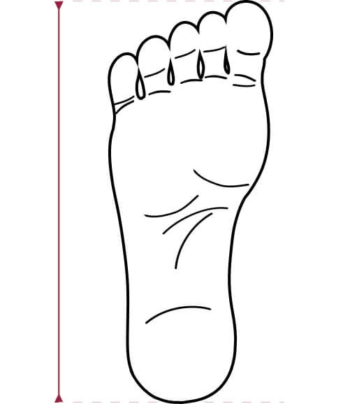 Размеры обуви