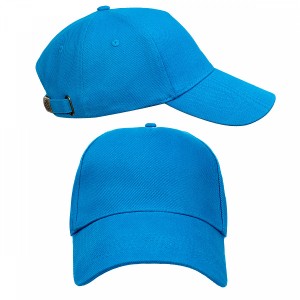 3sncph02uxc343fmt7v88ot4fl2qxq26